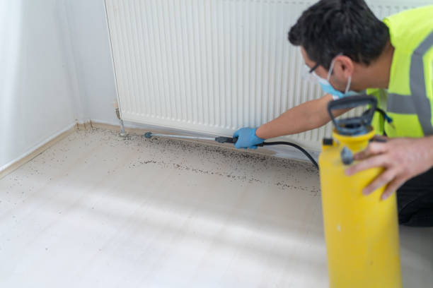 Best Flea Control Services  in Elizabethtown, PA